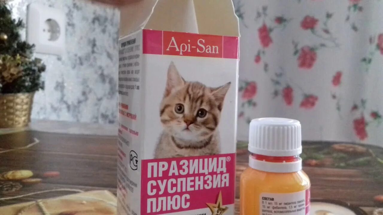 Проглистогоненный котенок