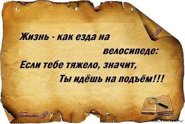 Мудрые изречения. Афоризмы про мудрость. Мудрые мысли и высказывания. Умные высказывания.