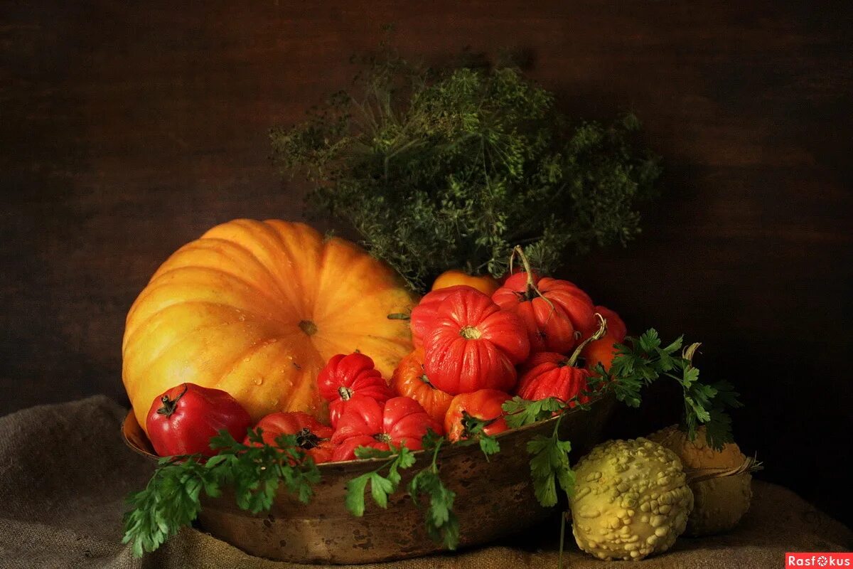 Летние овощи. Натюрморт с помидорами. Осенний огород. Перец цукини баклажан порей. Натюрморт с тыквой.