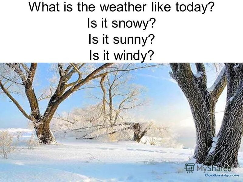 1 what is the weather like today. The weather is Sunny. What`s the weather like today. What is the weather like today. It is snowy.