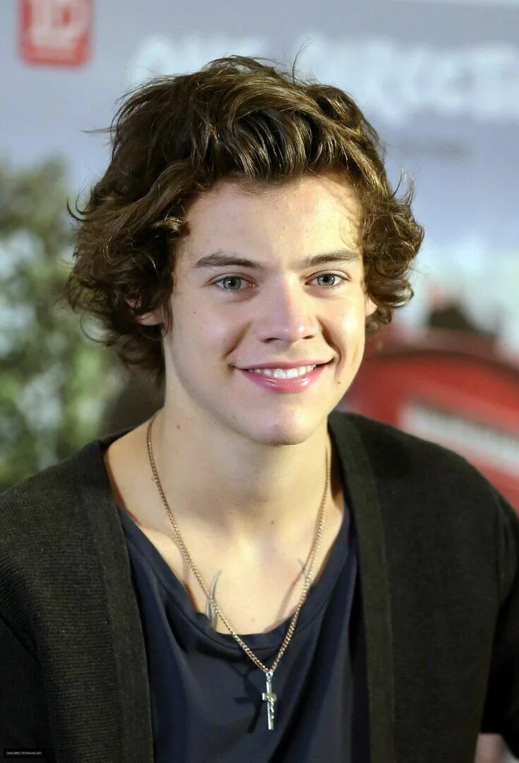 Harry is called. Гарри стайлс. гарри стайлс 2014. гарри стайлс 2011. one direction harry.