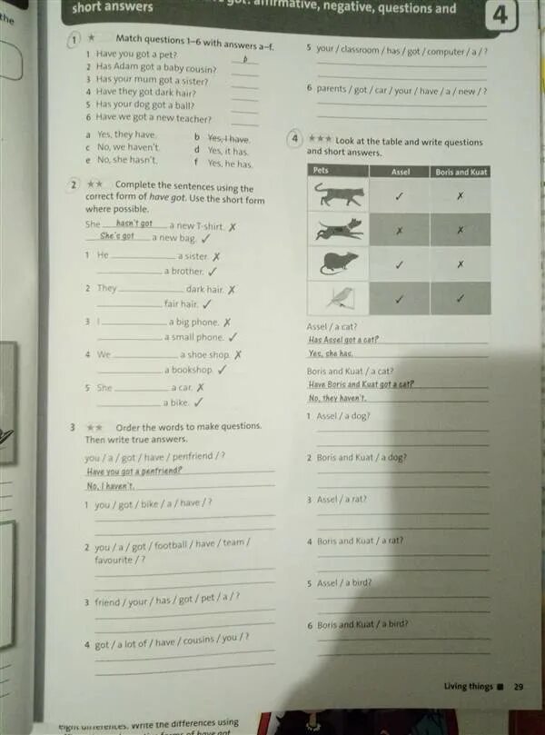 Write questions then write true answers. Look at the Table. Write questions and short answers. Look at the Chart write the questions and Lucy's answers. Has they got a Computer. Have they got a Computer?Yes they have.