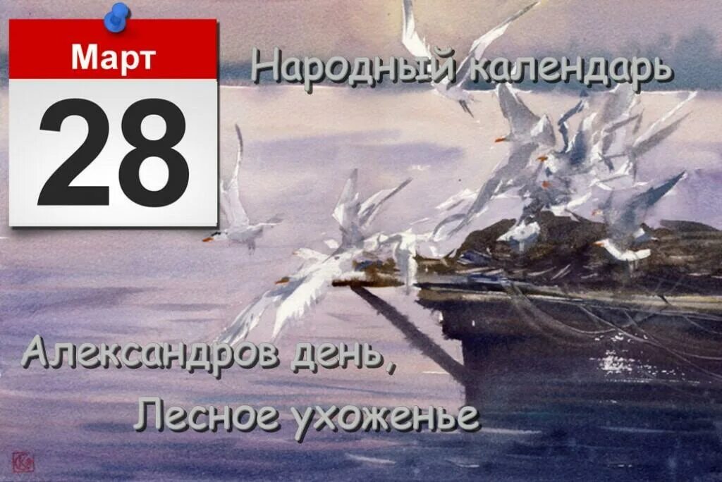 С праздником Александровым днем. Александров день 28. Александров день в 2024 году