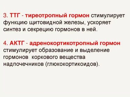 Ттг женский