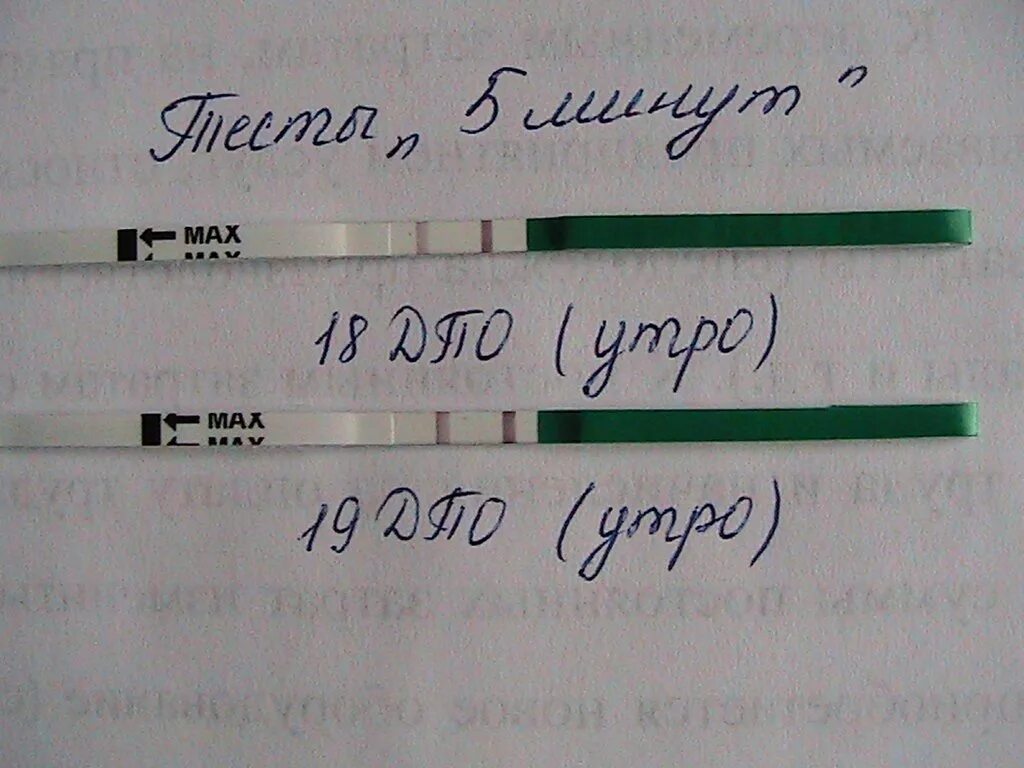 Тест на 5 отзывы. Тест на беременность. Тест на беременность ДПО. 5 ДПО тест. 19 ДПО тест на беременность.