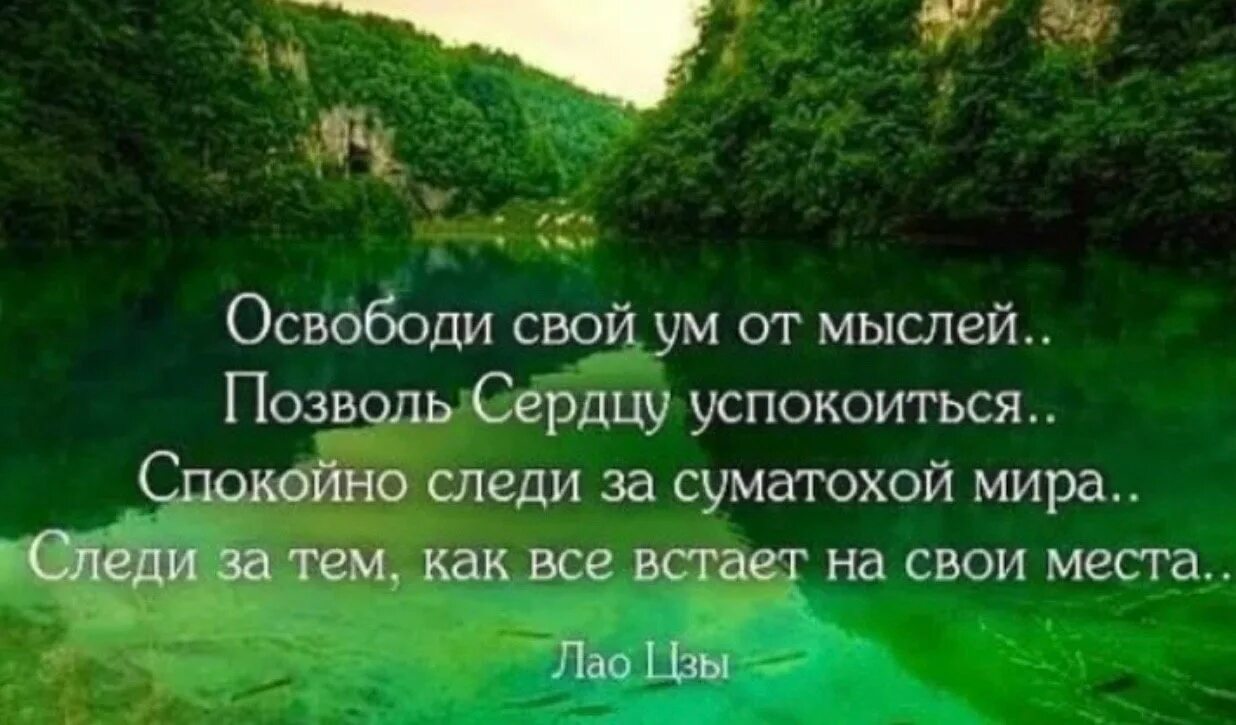 Успокоятся или успокоются. Высказывания о спокойствии. Фразы о красоте природы. Высказывания о природе. Мудрые мысли.