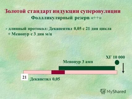 Протокол стимуляция