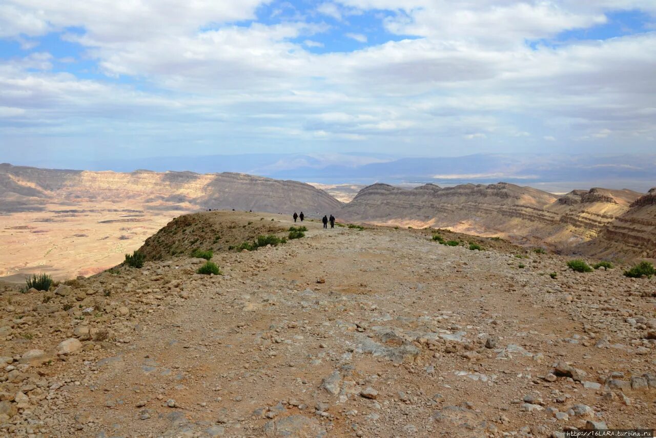 Природа пустыни Негев. Пустыня Негев. Negev пустыня в Израиле.