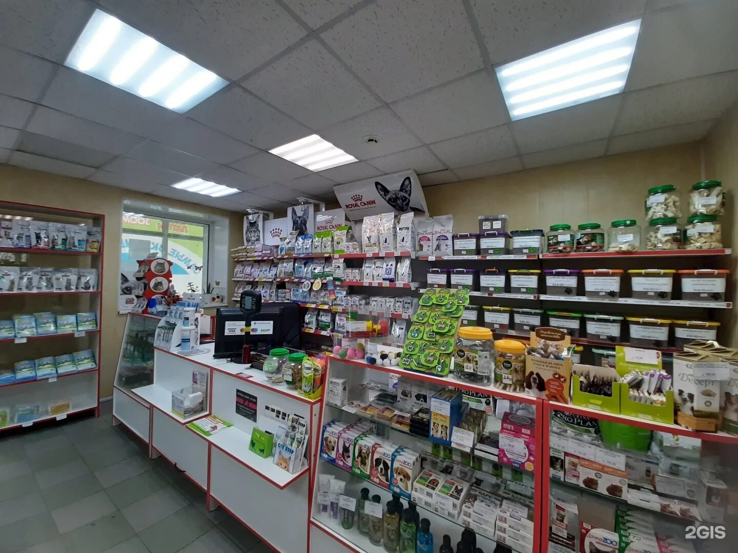 стародмитровское шоссе 11 долгопрудный. 4 лапы в долгопрудном на пацаева. четыре лапы долгопрудный. четыре лапы долгопрудный.