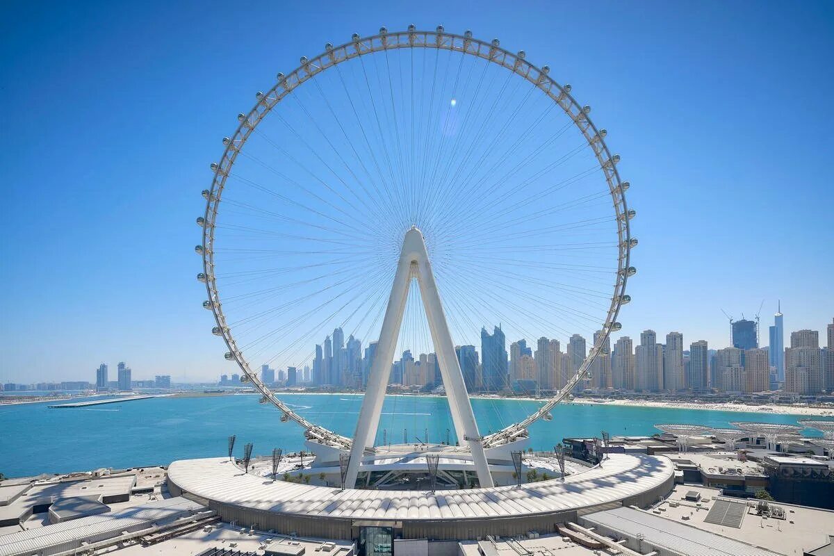 Чудеса арабских эмиратов. Колесо обозрения Дубай Ain Dubai. Bluewaters Дубай колесо обозрения. Дубай колесо обозрения глаз Дубая.