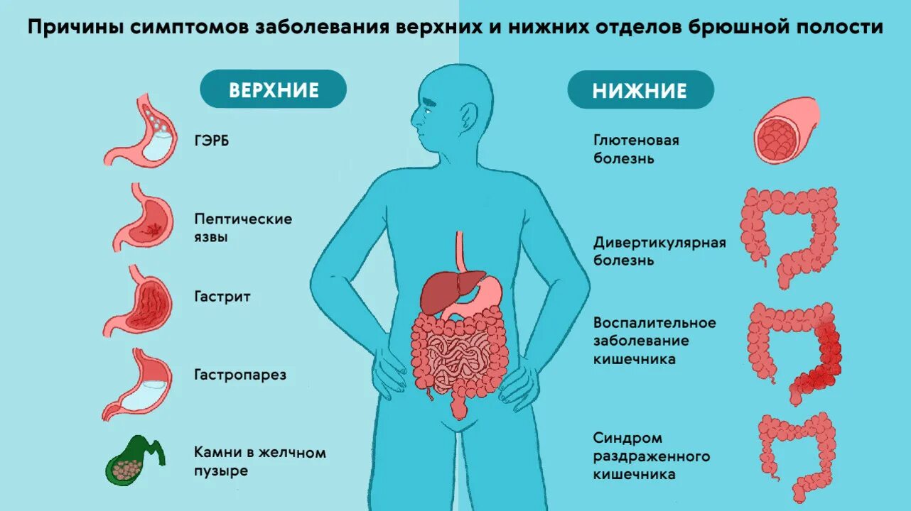 Пищеварительная система причины. Заболевания пищеварительного тракта. Если у человека болит желудок.