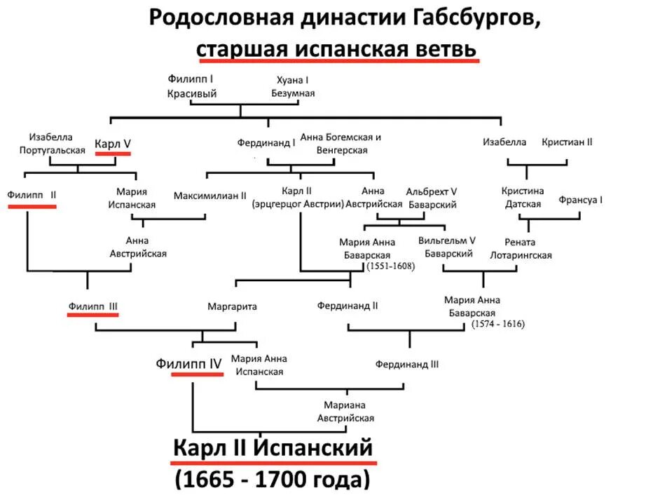 Состав габсбургов. Родословная Габсбургов Династия. Династия Габсбургов в Испании Древо. Династия Габсбургов генеалогическое Древо. Династическое Древо Габсбургов.