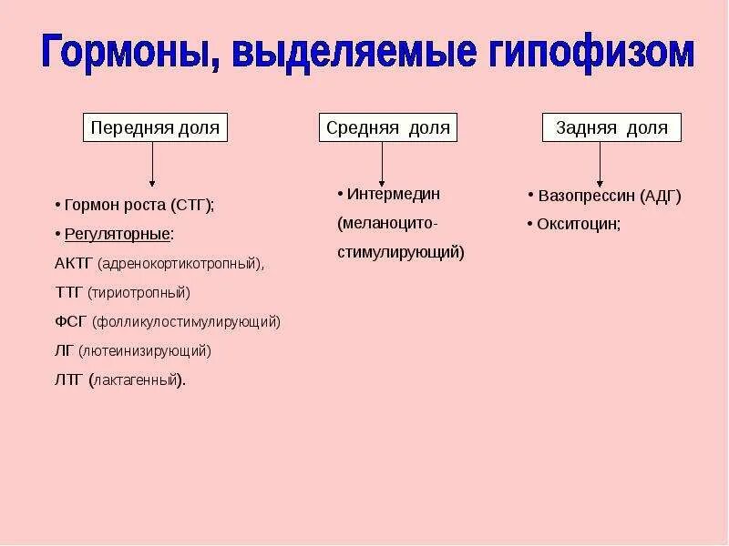 Выделяемые гормоны гипофиза таблица. Гормоны передней доли гипофиза. Гормоны выделяемые гипофизом. Гормоны переднего гипофиза