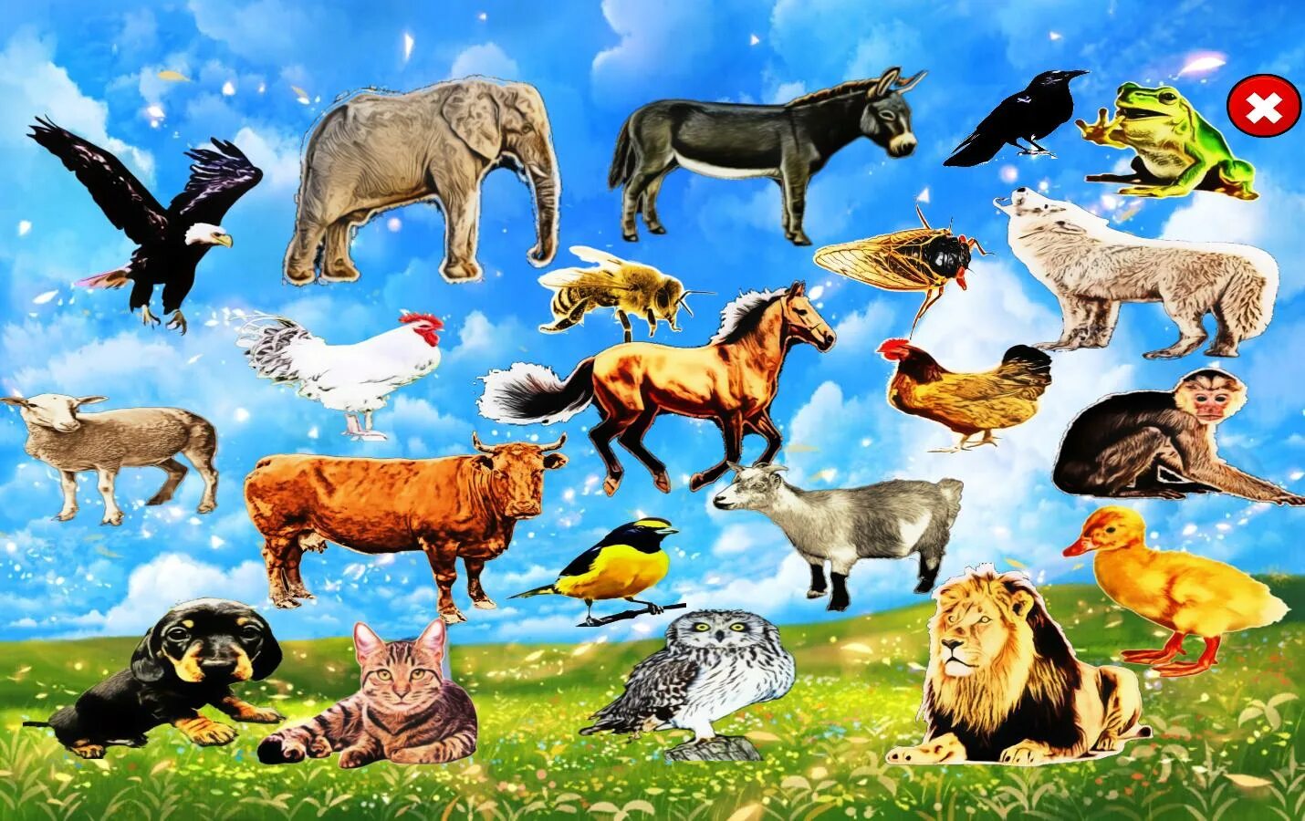 Звуки обитателей. Звуки животных. Разные животные на одной картинке. Звуки зверей. Презентация звуки животных.