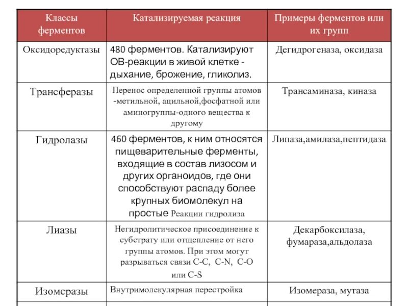 Ферменты реакции примеры. Классификация ферментов таблица. Классификация ферментов биохимия. Функции ферментов таблица. Роль ферментов таблица.