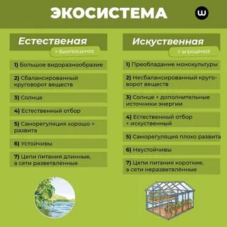 Отношения в естественных экосистемах