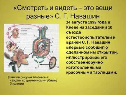 Сообщение о жизни и научной деятельности навашина