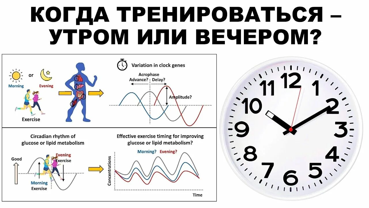 Когда лучше заниматься спортом утром. Когда тренироваться утром или вечером. Когда лучше делать тренировку утром или вечером. Лучше заниматься спортом утром или вечером. Когда лучше заниматься спортом утром или вечером.