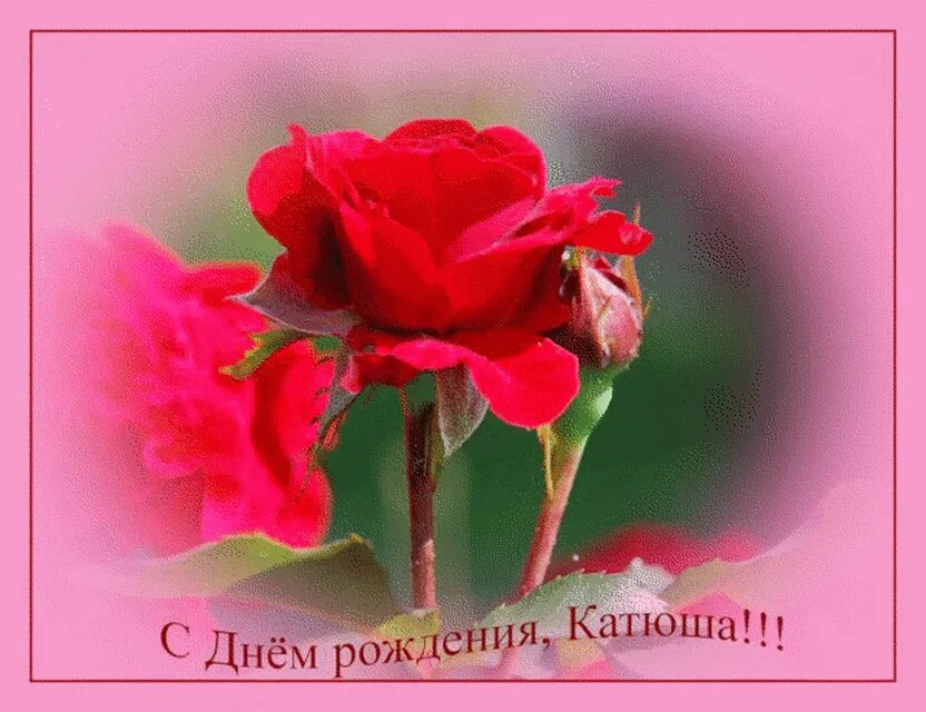 С рождения катюша картинки. С днём рождения Катюшка. С днем рождения Катюза. С днём рождения катюга. С днём рождения Катюша открытки.