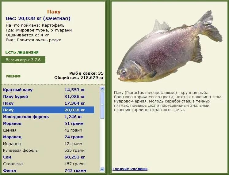 русская рыбалка 3 кайман. русская рыбалка 3 7 6 амазонка. рыбалка 3 амазонка. рр3 кайман гладколобый. гиганты русская рыбалка 3.