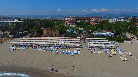 Palmeras beach hotel отзывы