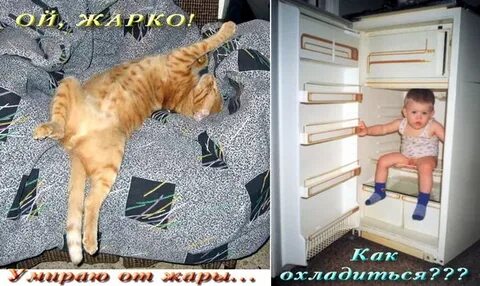 Ну и жара доброе утро