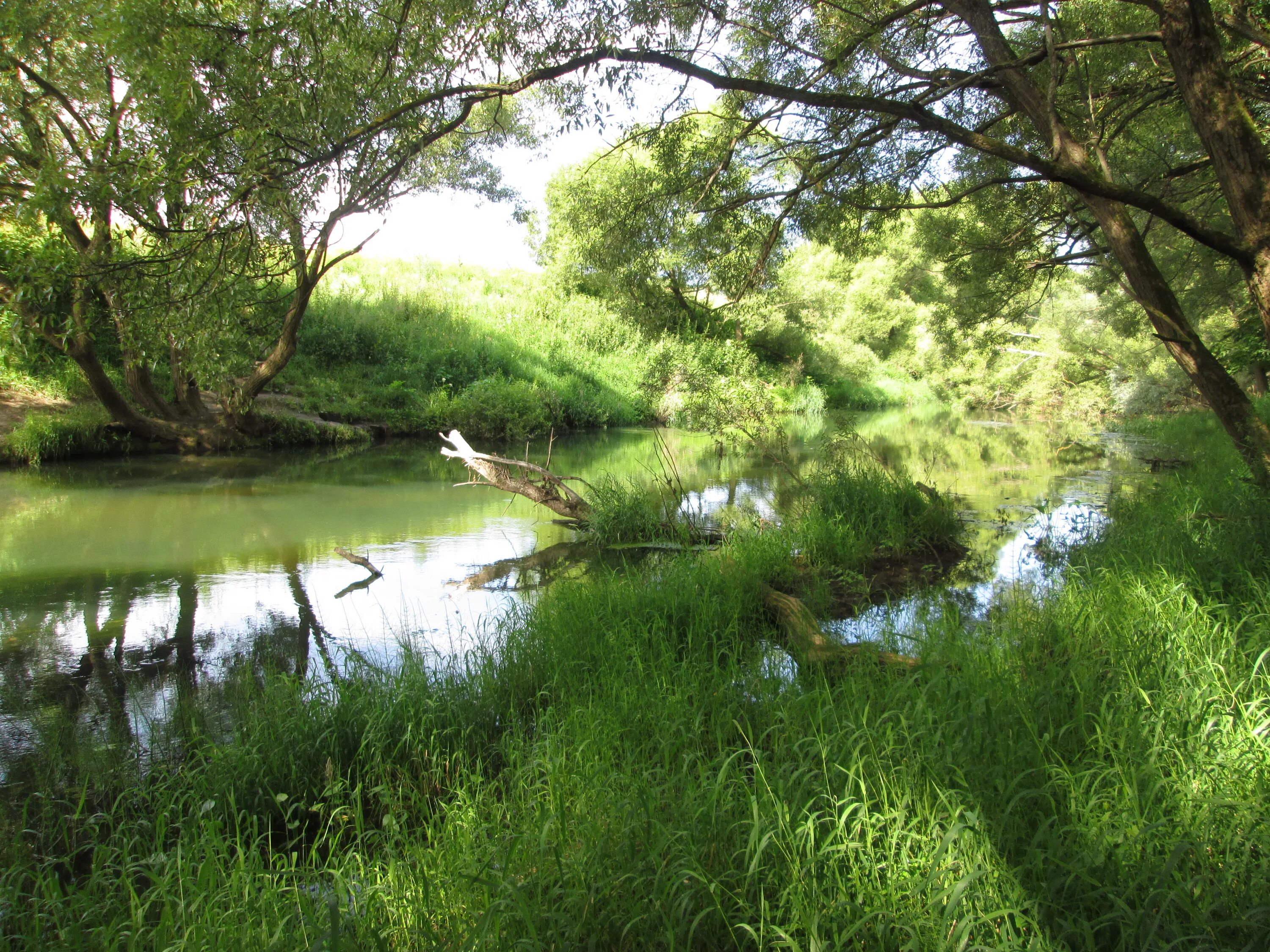 малоярославец природа. река безвель калужская область. река лужа. река лужа в малоярославце. река лужа калужская область малоярославецкий район.