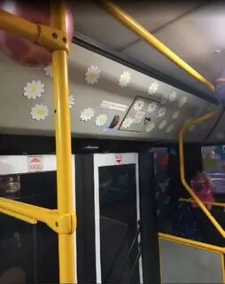 238 автобус могилев