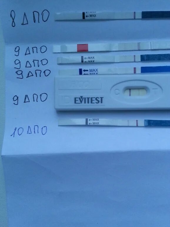7 ДПО БТ 37.2. 10 День ДПО тест. 10 День после овуляции. 15 ДПО задержка и БТ 37:1. Температура базальная тест отрицательный