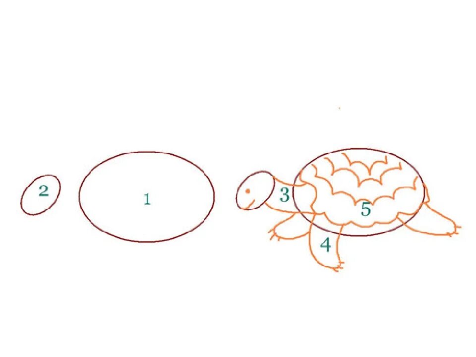 Черепаха средняя группа. Рисование черепаха в подготовительной группе. Рисование черепаха средняя группа. Рисование черепаха в старшей группе. Рисование Черепашки в средней группе.