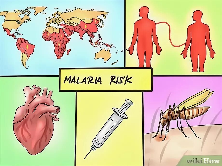 Факторы риска малярии. Картинки на тему малярия. Малярии рисунок профилактика. Пути заражения малярией плакат. Тяжелое течение малярии ассоциируется чаще