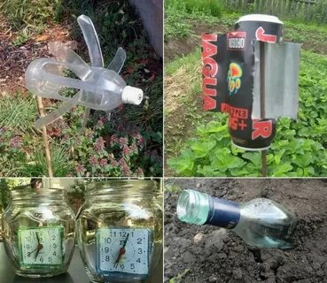 Как избавиться от кротов своими руками