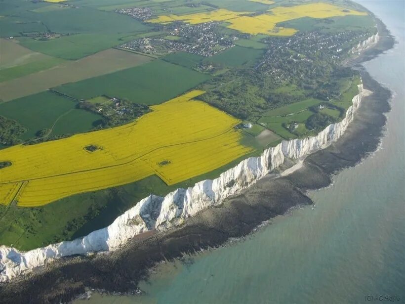 Белые клифы. Белые клифы Дувра. Дувр White Cliffs. Белые клифы Дувра Кент Англия. Утесы Дувра Великобритания.