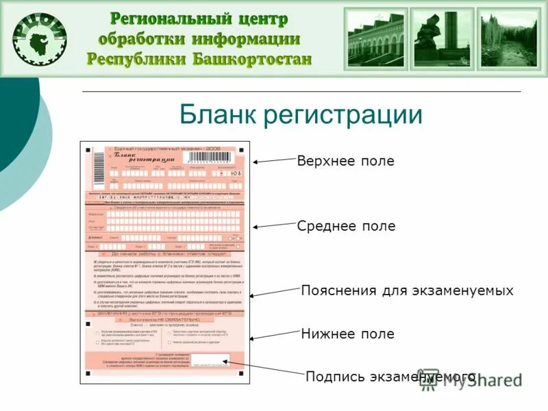 Сайт рцои рб республики башкортостан