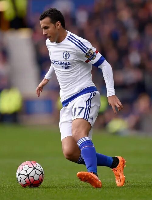 Педро родригес ледесма. Педро ледесма. Педро родригес ледесма. Педро родригес ледесма. Педро ледесма.