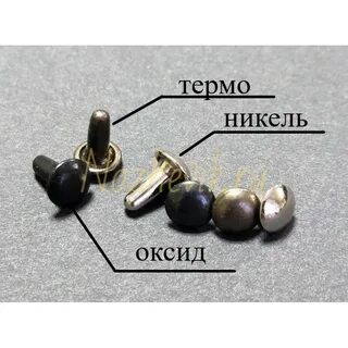 Хольнитены что это такое
