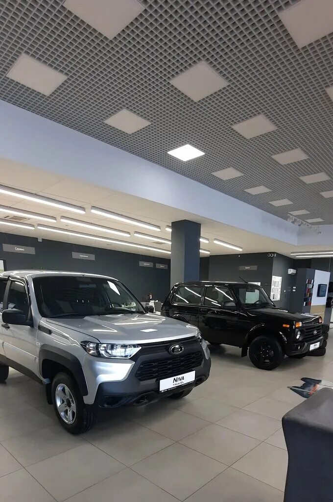 русская ладья ижевск. ладья ижевск. магазин армада в ижевске. новоажимова 16. русская ладья ижевск.