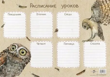 Расписание филина