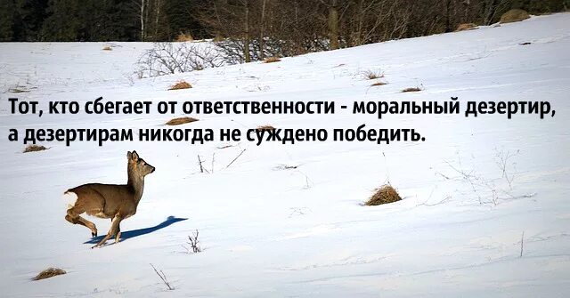 Со словом ответственность. Цитаты про ответственность. Афоризмы про ответственность. Высказывания про ответственность. Цитаты про ответственных людей.