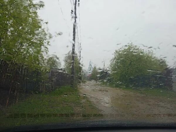 В области придут дожди. Дожди в Свердловской области. Сильный ветер и дождь. Сильный ветер в лесу. Штормовое предупреждение сильный дождь.