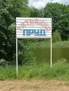 Правдинский пруд воронежская область