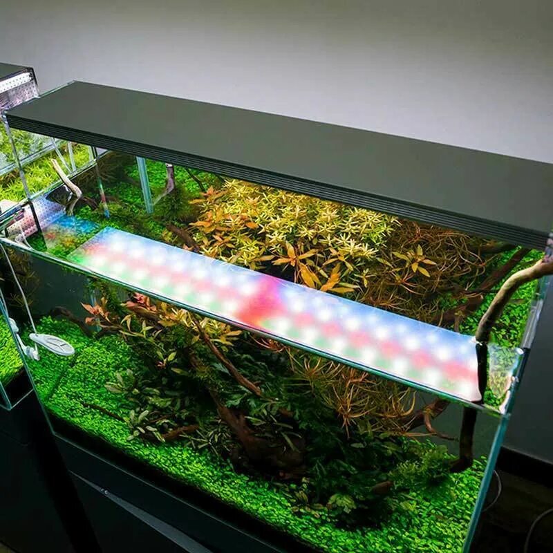 Лучший свет для аквариума. Светильник чихирос для аквариума. rgb светильник chihiros аквариума. twinstar светильник для аквариума. светильник chihiros c201.