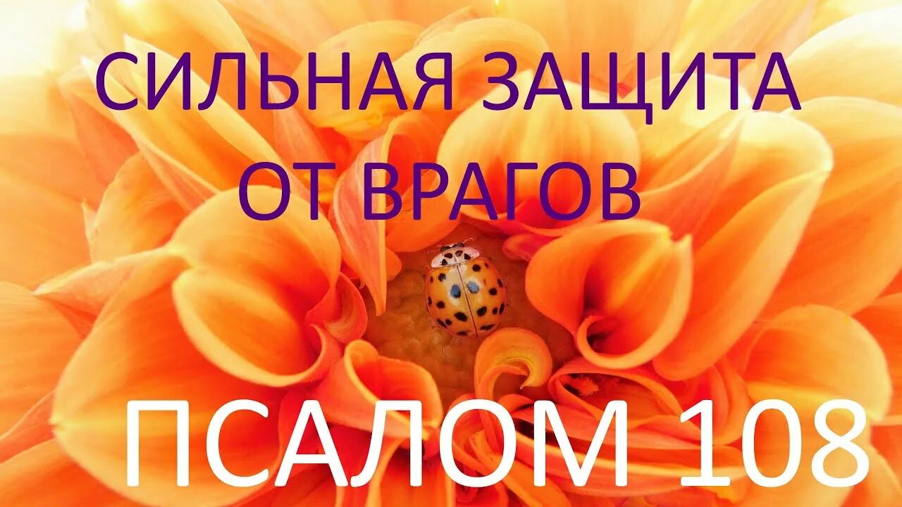 Псалом 108. Псалом 108 Возмездие врагам. Наказание врага 108 Псалом. Молитва 10 часов Псалом 108.