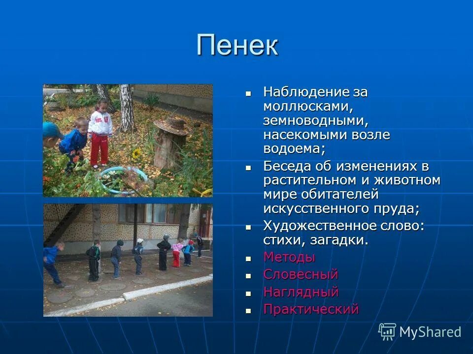 Эпитет это художественное определение. Хозяева после бала. Наблюдение на прогулке в старшей группе осенью. Сочинение описание живот. План памятка для оценки устного ответа.