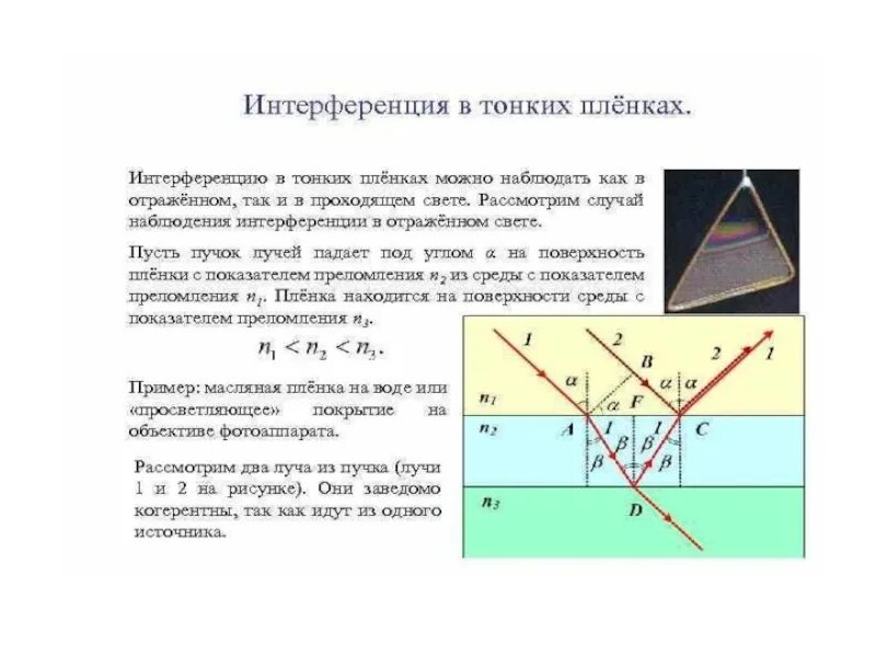 Интерференция в тонких пленках физика. Интерференция света в тонких пленках рисунок. Интерференция света интерференция в тонких пленках. Интерференция света в тонких пленках кольца Ньютона. Когерентные источники света разность хода лучей