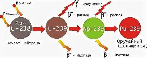 Распад плутония 239 схема. Схема распада урана 238. Распад ядра урана 238. Деление ядра урана 238.