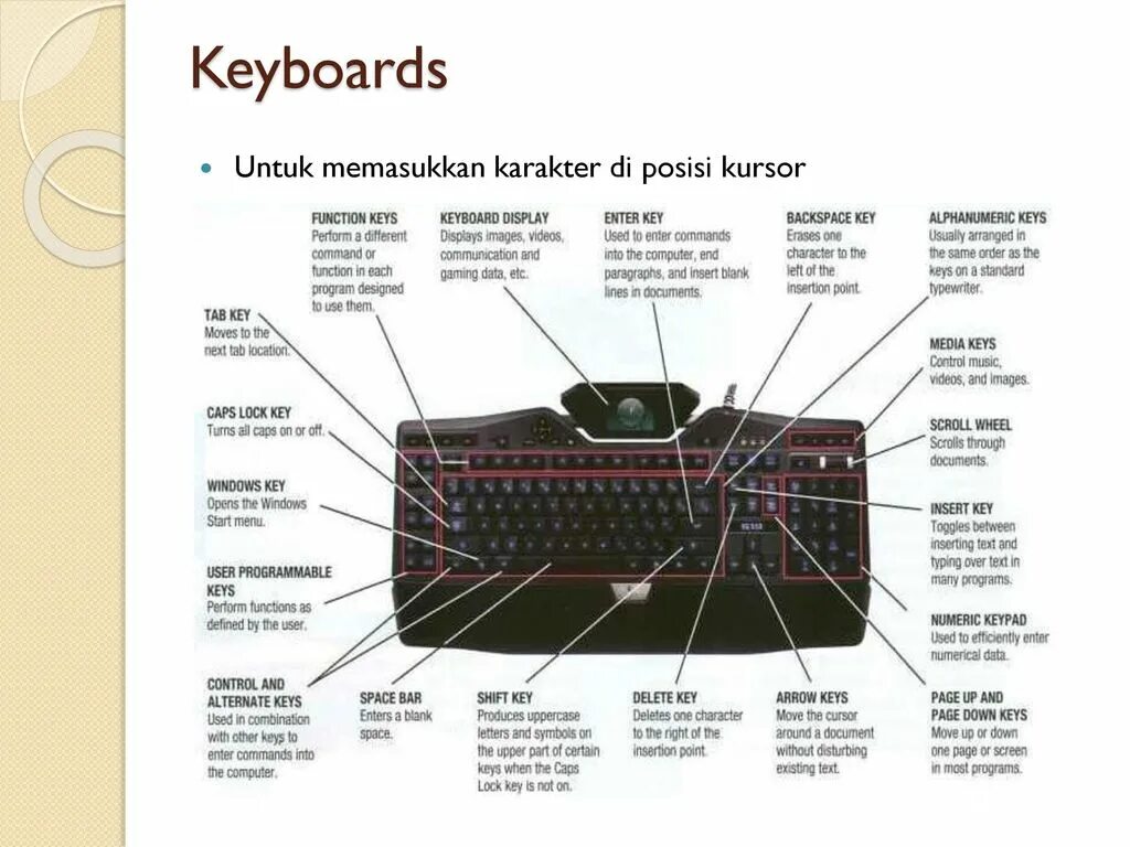 Usually keys. Adverbs of frequency in english. Вспомогательные глаголы презент континиус. He got at 7 o clock вопросительное предложение. Предлоги времени at in on.
