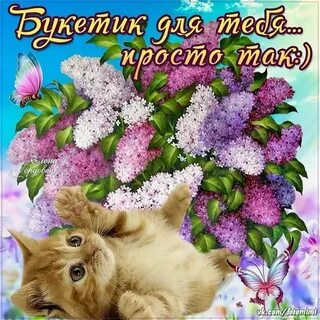 Просто поздравление картинки