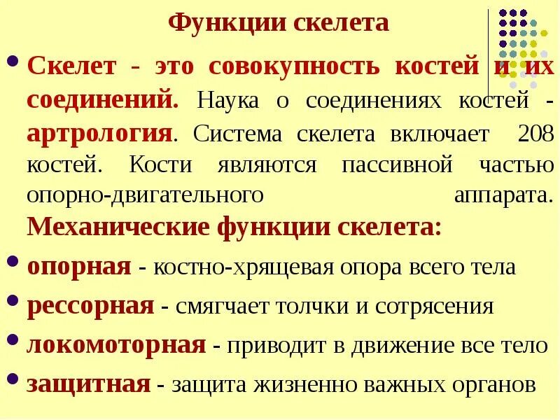 Значение скелета человека. Значение скелета. Какое значение скелета для человека. Какова роль скелета человека.