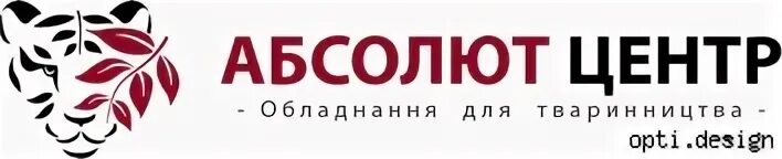 Центр опта сайт. Абсолют центр. Страховой центр Абсолют Архангельск. Хозяйка ТЦ Абсолют. Абсолют рознично оптовая продажа мебели.